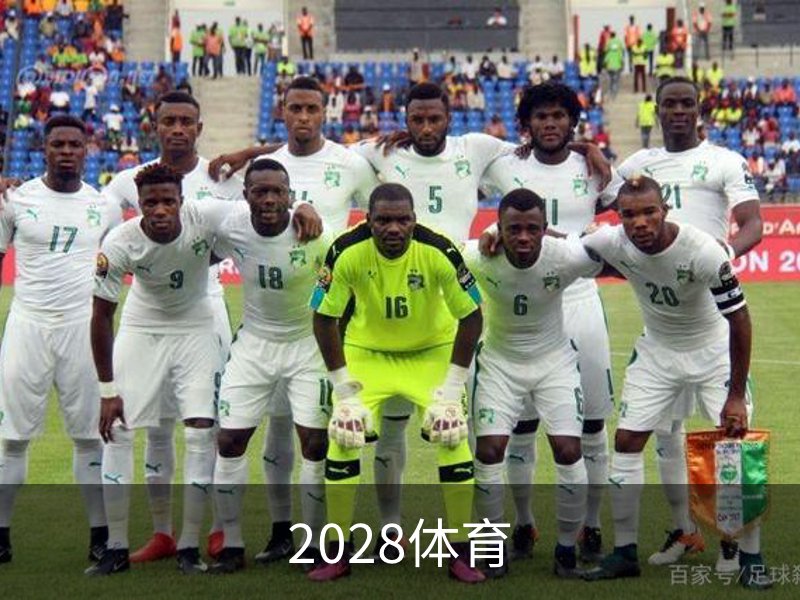 了解2028体育